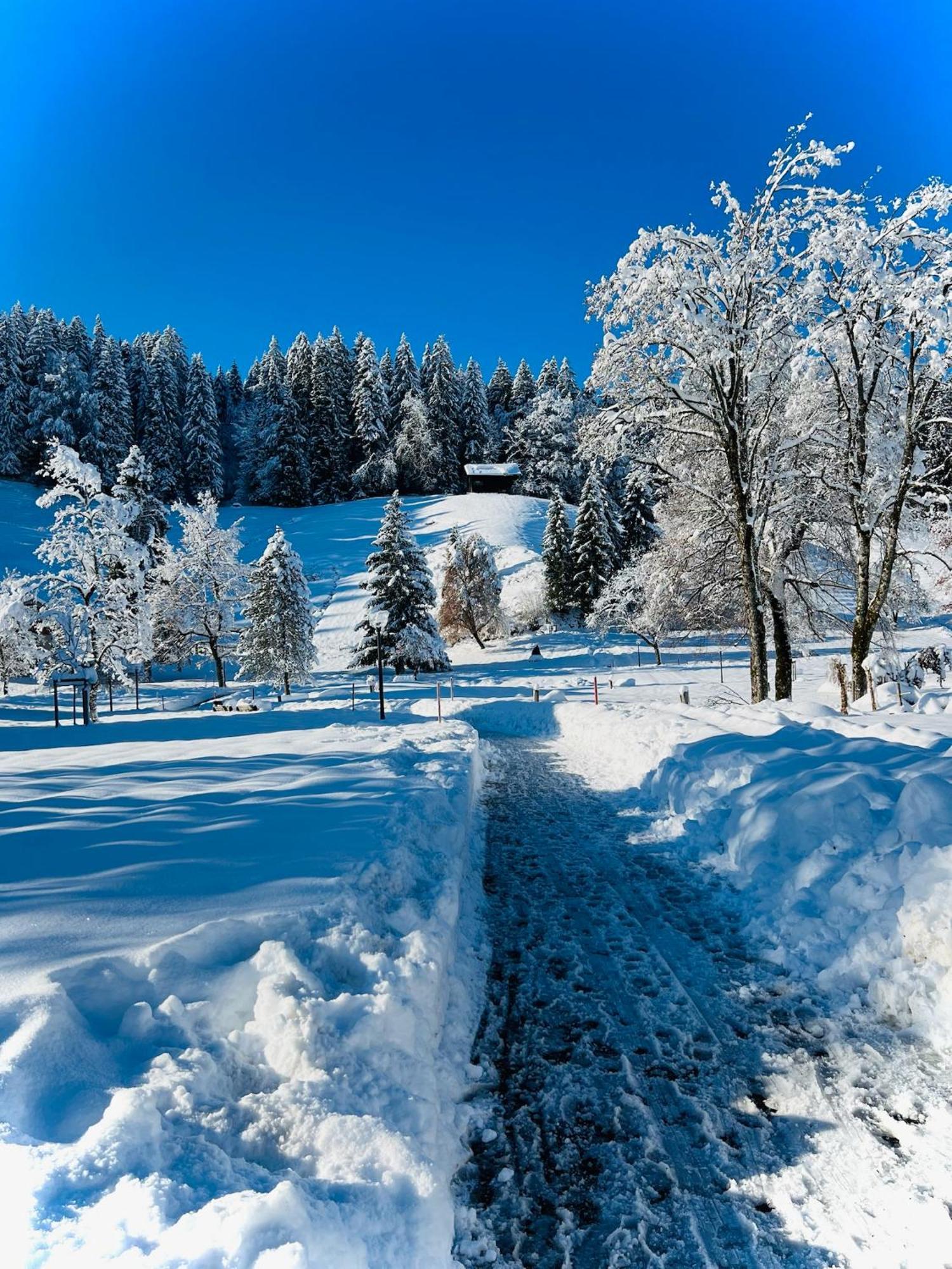 Ferienwohnung Sonneck Oberstaufen Buitenkant foto